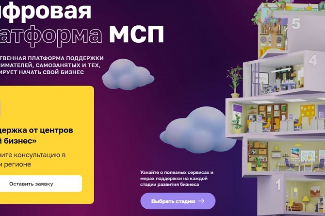 Пензенская область - в числе лидеров по популяризации Цифровой платформы для предпринимателей