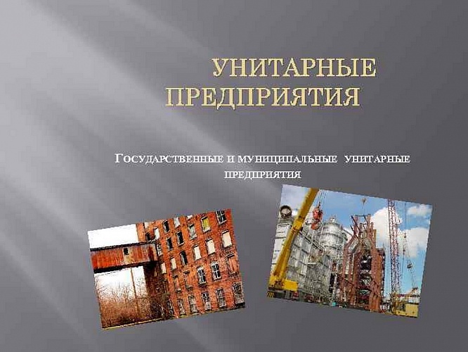 Государственные и муниципальные унитарные предприятия могут быть ликвидированы или реорганизованы по решению учредителя в срок до 01.01.2021 года