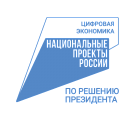 Подведены итоги реализации нацпроекта «Цифровая экономика» в Пензенской области