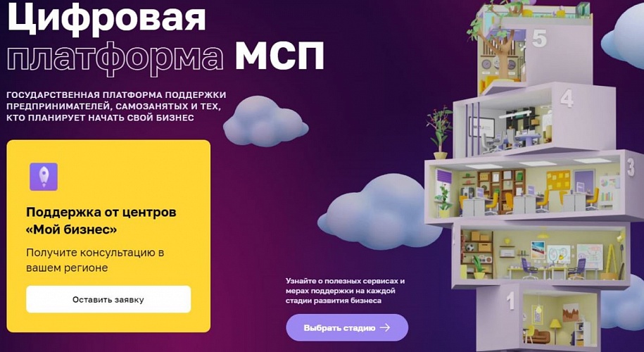 Пензенская область - в числе лидеров по популяризации Цифровой платформы для предпринимателей
