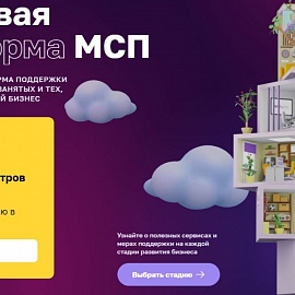 Пензенская область - в числе лидеров по популяризации Цифровой платформы для предпринимателей